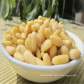 Chinese High Quality Pine Nut Kernels